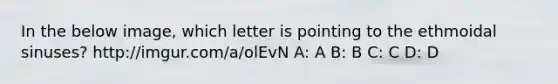 In the below image, which letter is pointing to the ethmoidal sinuses? http://imgur.com/a/olEvN A: A B: B C: C D: D