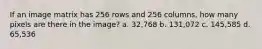 If an image matrix has 256 rows and 256 columns, how many pixels are there in the image? a. 32,768 b. 131,072 c. 145,585 d. 65,536