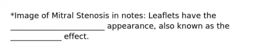 *Image of Mitral Stenosis in notes: Leaflets have the ________________________ appearance, also known as the _____________ effect.