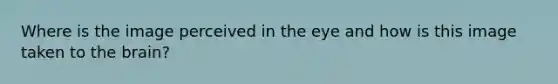 Where is the image perceived in the eye and how is this image taken to the brain?
