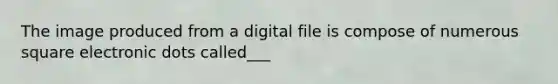 The image produced from a digital file is compose of numerous square electronic dots called___