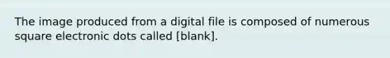 The image produced from a digital file is composed of numerous square electronic dots called [blank].