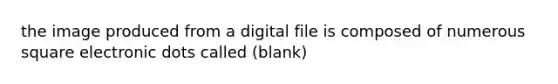 the image produced from a digital file is composed of numerous square electronic dots called (blank)