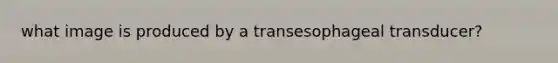 what image is produced by a transesophageal transducer?