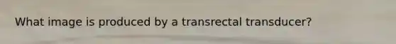 What image is produced by a transrectal transducer?