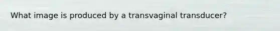 What image is produced by a transvaginal transducer?