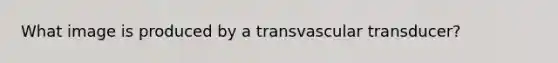 What image is produced by a transvascular transducer?