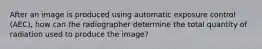 After an image is produced using automatic exposure control (AEC), how can the radiographer determine the total quantity of radiation used to produce the image?