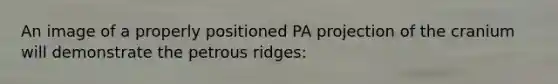 An image of a properly positioned PA projection of the cranium will demonstrate the petrous ridges: