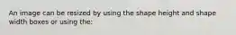 An image can be resized by using the shape height and shape width boxes or using the: