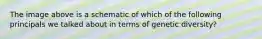 The image above is a schematic of which of the following principals we talked about in terms of genetic diversity?