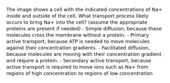 The image shows a cell with the indicated concentrations of Na+ inside and outside of the cell. What transport process likely occurs to bring Na+ into the cell? (assume the appropriate proteins are present if needed) - Simple diffusion, because these molecules cross the membrane without a protein. - Primary active transport, because ATP is needed to move molecules against their concentration gradients. - Facilitated diffusion, because molecules are moving with their concentration gradient and require a protein. - Secondary active transport, because active transport is required to move ions such as Na+ from regions of high concentration to regions of low concentration