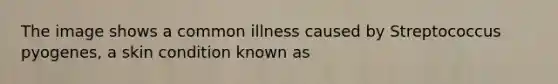 The image shows a common illness caused by Streptococcus pyogenes, a skin condition known as