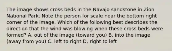 The image shows cross beds in the Navajo sandstone in Zion National Park. Note the person for scale near the bottom right corner of the image. Which of the following best describes the direction that the wind was blowing when these cross beds were formed? A. out of the image (toward you) B. into the image (away from you) C. left to right D. right to left