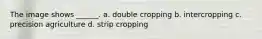 The image shows ______. a. double cropping b. intercropping c. precision agriculture d. strip cropping