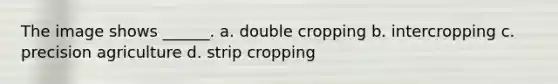 The image shows ______. a. double cropping b. intercropping c. precision agriculture d. strip cropping