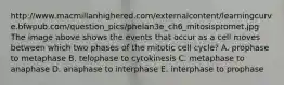 http://www.macmillanhighered.com/externalcontent/learningcurve.bfwpub.com/question_pics/phelan3e_ch6_mitosispromet.jpg The image above shows the events that occur as a cell moves between which two phases of the mitotic cell cycle? A. prophase to metaphase B. telophase to cytokinesis C. metaphase to anaphase D. anaphase to interphase E. interphase to prophase