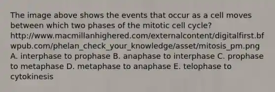 The image above shows the events that occur as a cell moves between which two phases of the mitotic cell cycle? http://www.macmillanhighered.com/externalcontent/digitalfirst.bfwpub.com/phelan_check_your_knowledge/asset/mitosis_pm.png A. interphase to prophase B. anaphase to interphase C. prophase to metaphase D. metaphase to anaphase E. telophase to cytokinesis