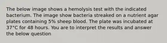 The below image shows a hemolysis test with the indicated bacterium. The image show bacteria streaked on a nutrient agar plates containing 5% sheep blood. The plate was incubated at 37°C for 48 hours. You are to interpret the results and answer the below question