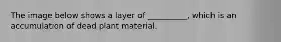 The image below shows a layer of __________, which is an accumulation of dead plant material.