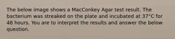 The below image shows a MacConkey Agar test result. The bacterium was streaked on the plate and incubated at 37°C for 48 hours. You are to interpret the results and answer the below question.