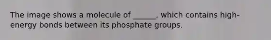 The image shows a molecule of ______, which contains high-energy bonds between its phosphate groups.