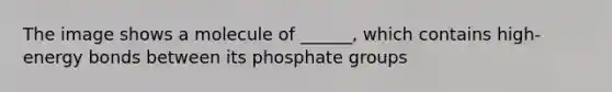 The image shows a molecule of ______, which contains high-energy bonds between its phosphate groups