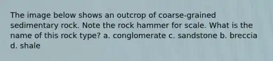 The image below shows an outcrop of coarse-grained sedimentary rock. Note the rock hammer for scale. What is the name of this rock type? a. conglomerate c. sandstone b. breccia d. shale