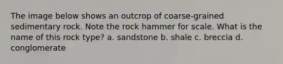 The image below shows an outcrop of coarse-grained sedimentary rock. Note the rock hammer for scale. What is the name of this rock type? a. sandstone b. shale c. breccia d. conglomerate