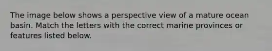 The image below shows a perspective view of a mature ocean basin. Match the letters with the correct marine provinces or features listed below.