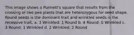 This image shows a Punnett's square that results from the crossing of two pea plants that are heterozygous for seed shape. Round seeds is the dominant trait and wrinkled seeds is the recessive trait. a. 3 Wrinkled: 1 Round b. 4 Round: 0 Wrinkled c. 3 Round: 1 Wrinkled d. 2 Wrinkled: 2 Round
