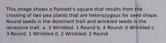 This image shows a Punnett's square that results from the crossing of two pea plants that are heterozygous for seed shape. Round seeds is the dominant trait and wrinkled seeds is the recessive trait. a. 3 Wrinkled: 1 Round b. 4 Round: 0 Wrinkled c. 3 Round: 1 Wrinkled d. 2 Wrinkled: 2 Round