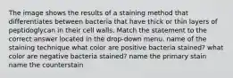 The image shows the results of a staining method that differentiates between bacteria that have thick or thin layers of peptidoglycan in their cell walls. Match the statement to the correct answer located in the drop-down menu. name of the staining technique what color are positive bacteria stained? what color are negative bacteria stained? name the primary stain name the counterstain