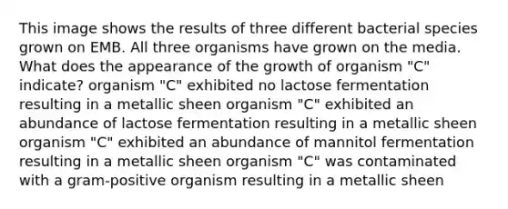 This image shows the results of three different bacterial species grown on EMB. All three organisms have grown on the media. What does the appearance of the growth of organism "C" indicate? organism "C" exhibited no lactose fermentation resulting in a metallic sheen organism "C" exhibited an abundance of lactose fermentation resulting in a metallic sheen organism "C" exhibited an abundance of mannitol fermentation resulting in a metallic sheen organism "C" was contaminated with a gram-positive organism resulting in a metallic sheen