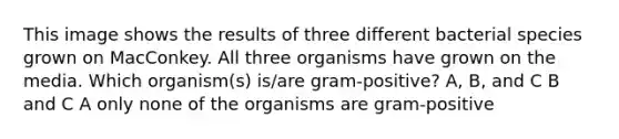 This image shows the results of three different bacterial species grown on MacConkey. All three organisms have grown on the media. Which organism(s) is/are gram-positive? A, B, and C B and C A only none of the organisms are gram-positive