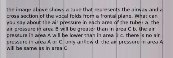 the image above shows a tube that represents the airway and a cross section of the vocal folds from a frontal plane. What can you say about the air pressure in each area of the tube? a. the air pressure in area B will be greater than in area C b. the air pressure in area A will be lower than in area B c. there is no air pressure in area A or C, only airflow d. the air pressure in area A will be same as in area C