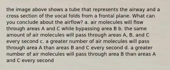 the image above shows a tube that represents the airway and a cross section of the vocal folds from a frontal plane. What can you conclude about the airflow? a. air molecules will flow through areas A and C while bypassing area B b. the same amount of air molecules will pass through areas A, B, and C every second c. a greater number of air molecules will pass through area A than areas B and C every second d. a greater number of air molecules will pass through area B than areas A and C every second