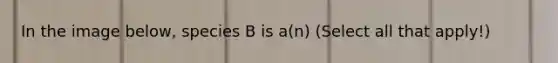 In the image below, species B is a(n) (Select all that apply!)