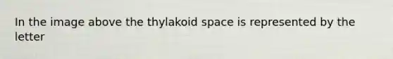 In the image above the thylakoid space is represented by the letter