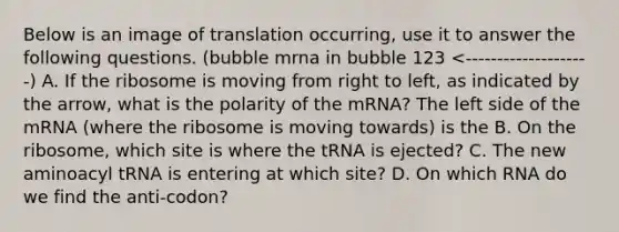 Below is an image of translation occurring, use it to answer the following questions. (bubble mrna in bubble 123 <--------------------) A. If the ribosome is moving from right to left, as indicated by the arrow, what is the polarity of the mRNA? The left side of the mRNA (where the ribosome is moving towards) is the B. On the ribosome, which site is where the tRNA is ejected? C. The new aminoacyl tRNA is entering at which site? D. On which RNA do we find the anti-codon?