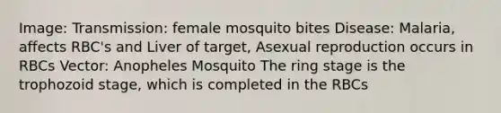 Image: Transmission: female mosquito bites Disease: Malaria, affects RBC's and Liver of target, Asexual reproduction occurs in RBCs Vector: Anopheles Mosquito The ring stage is the trophozoid stage, which is completed in the RBCs