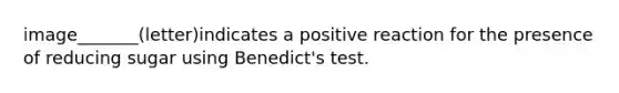 image_______(letter)indicates a positive reaction for the presence of reducing sugar using Benedict's test.