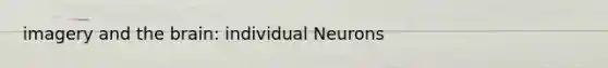 imagery and the brain: individual Neurons