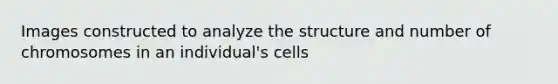 Images constructed to analyze the structure and number of chromosomes in an individual's cells