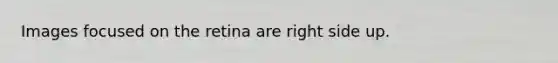 Images focused on the retina are right side up.