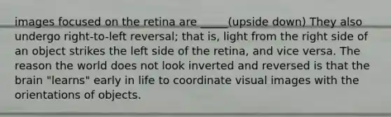 images focused on the retina are _____(upside down) They also undergo right-to-left reversal; that is, light from the right side of an object strikes the left side of the retina, and vice versa. The reason the world does not look inverted and reversed is that the brain "learns" early in life to coordinate visual images with the orientations of objects.