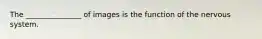 The _______________ of images is the function of the nervous system.