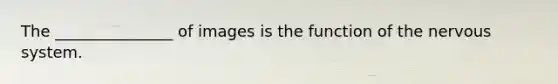 The _______________ of images is the function of the nervous system.