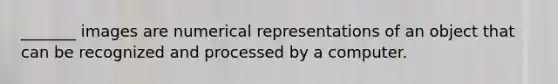 _______ images are numerical representations of an object that can be recognized and processed by a computer.