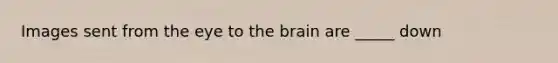 Images sent from the eye to <a href='https://www.questionai.com/knowledge/kLMtJeqKp6-the-brain' class='anchor-knowledge'>the brain</a> are _____ down